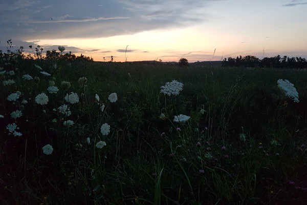 Inspiration Waldviertel